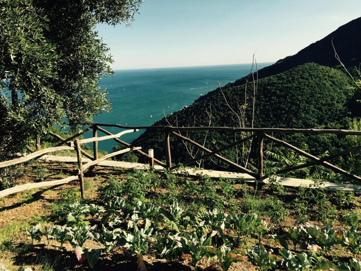 Casa Flora * Vietri