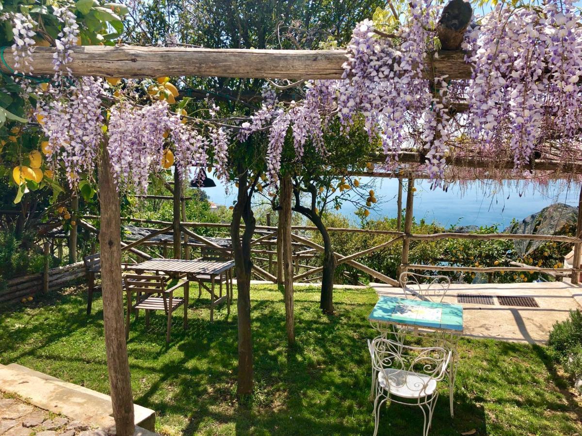Casa Flora *